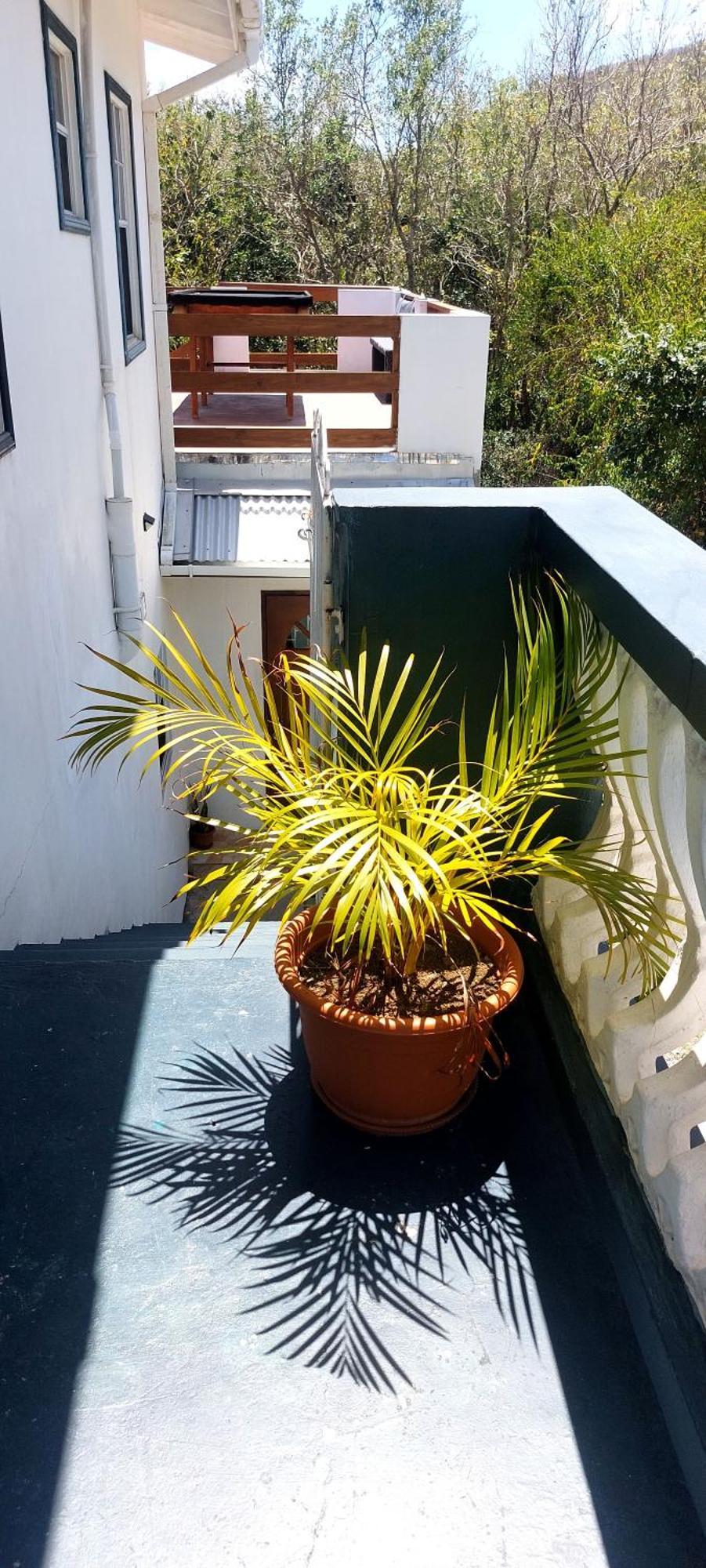 Apartment Joanna Rodney Bay ห้อง รูปภาพ